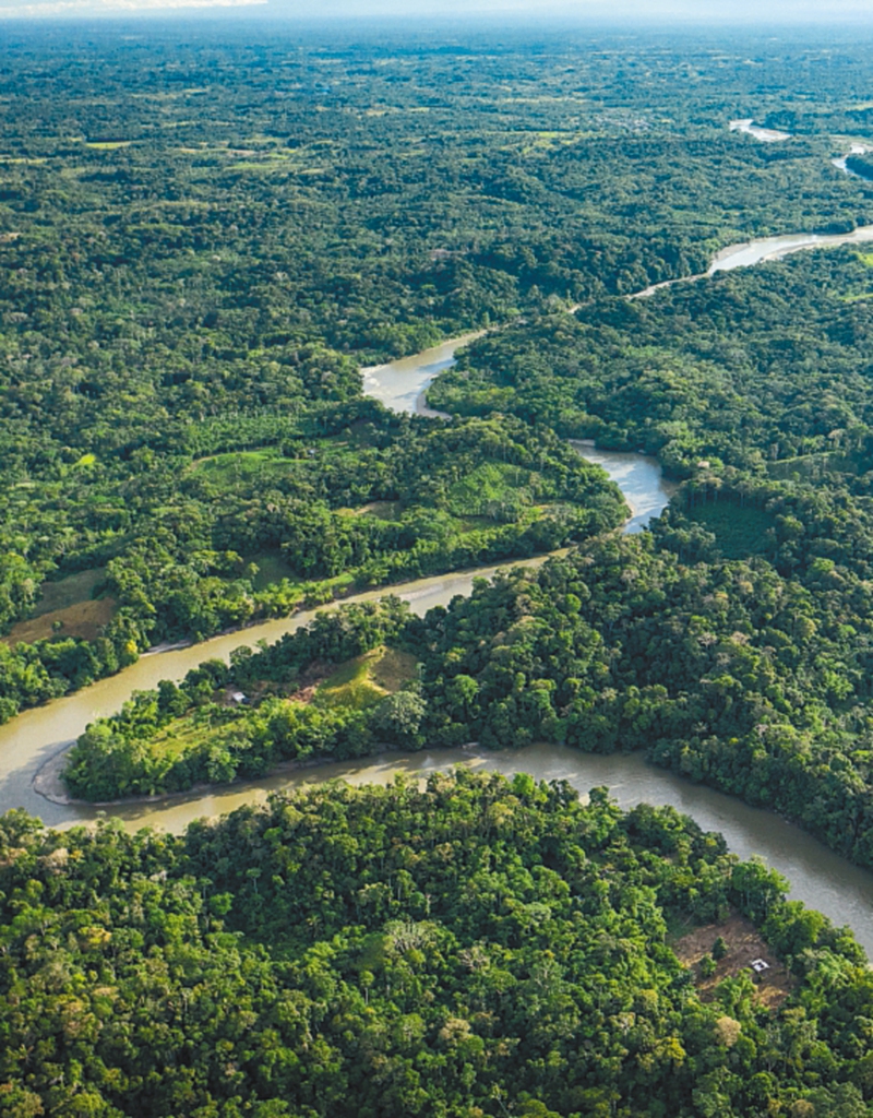 En medio de la COP28 lanzan una Red Financiera para conservar la Amazonia