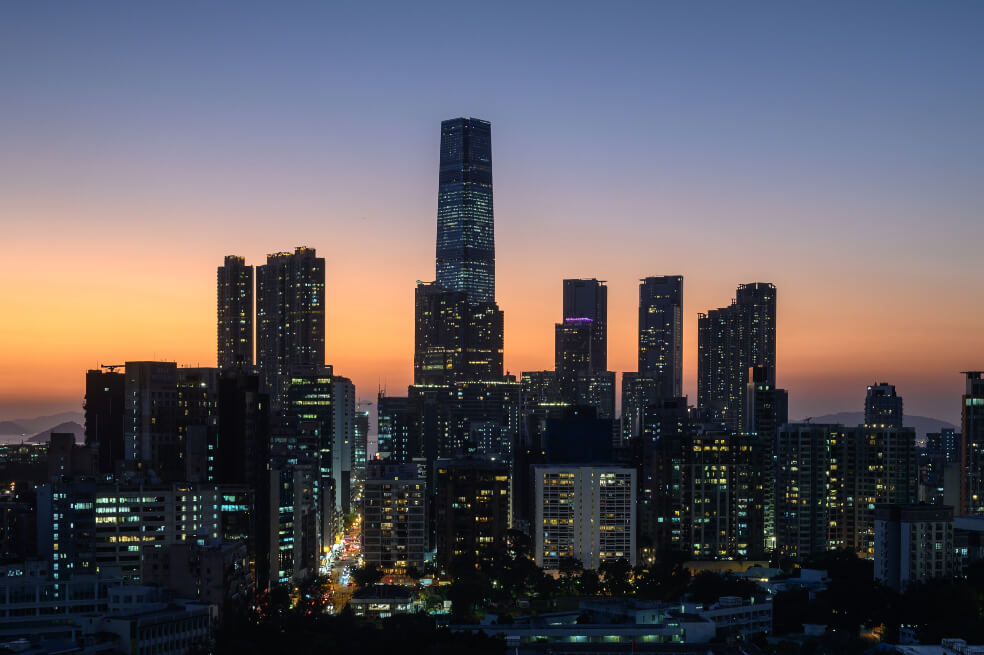 El coronavirus hace que los delfines vuelvan a Hong Kong
