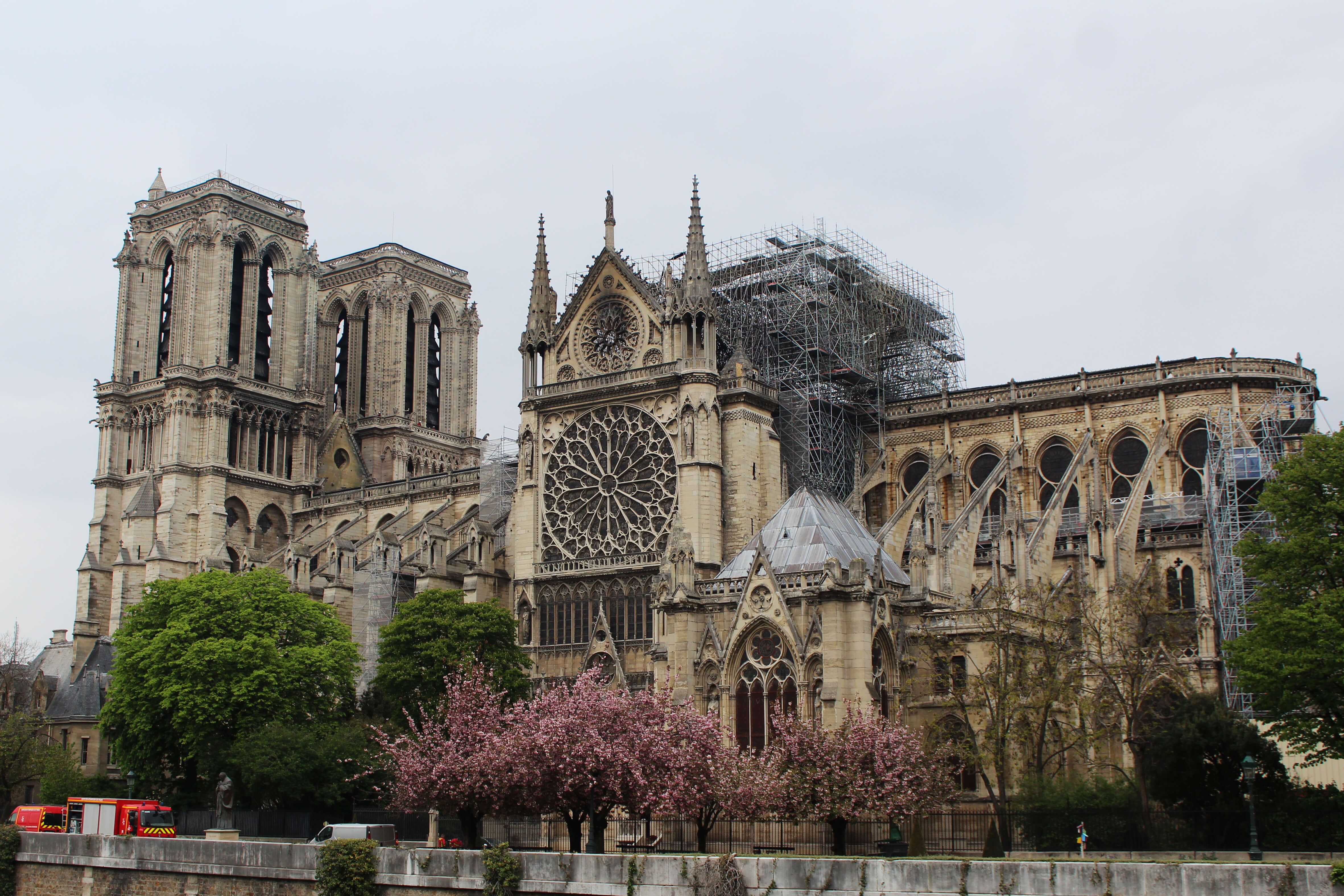 Reapertura de Notre Dame: todo lo que tiene que saber para que programe su visita