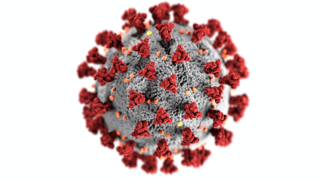Nueva cepa de coronavirus
