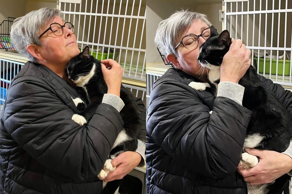 Gato esmoquin, que nadie adoptaba, encuentra el hogar perfecto tras esperar un año