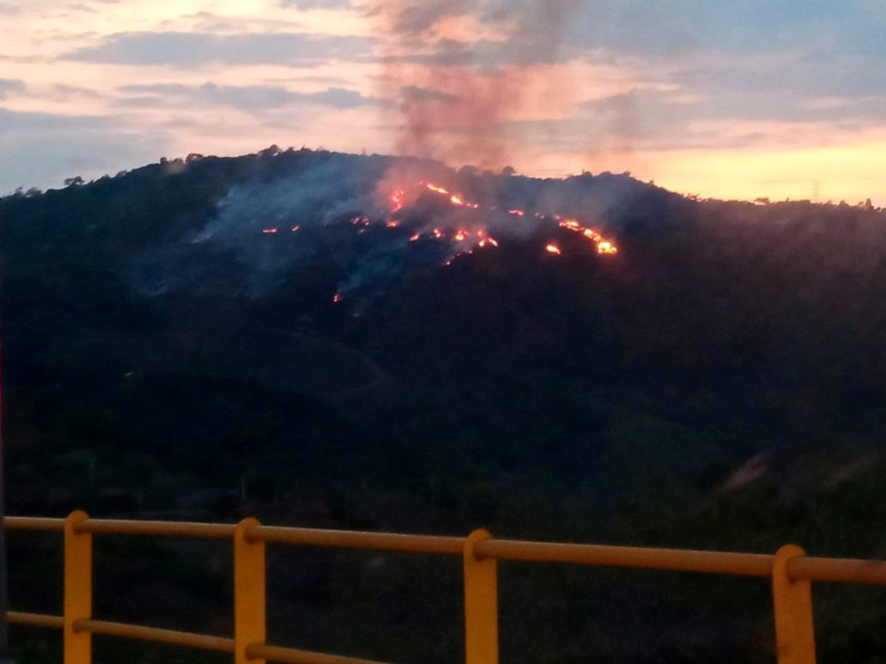 Incendio forestal consumió 12 hectáreas de vegetación en el municipio de La Mesa