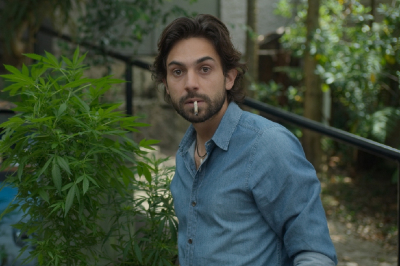 El viaje de “Malayerba” a través del cannabis medicinal