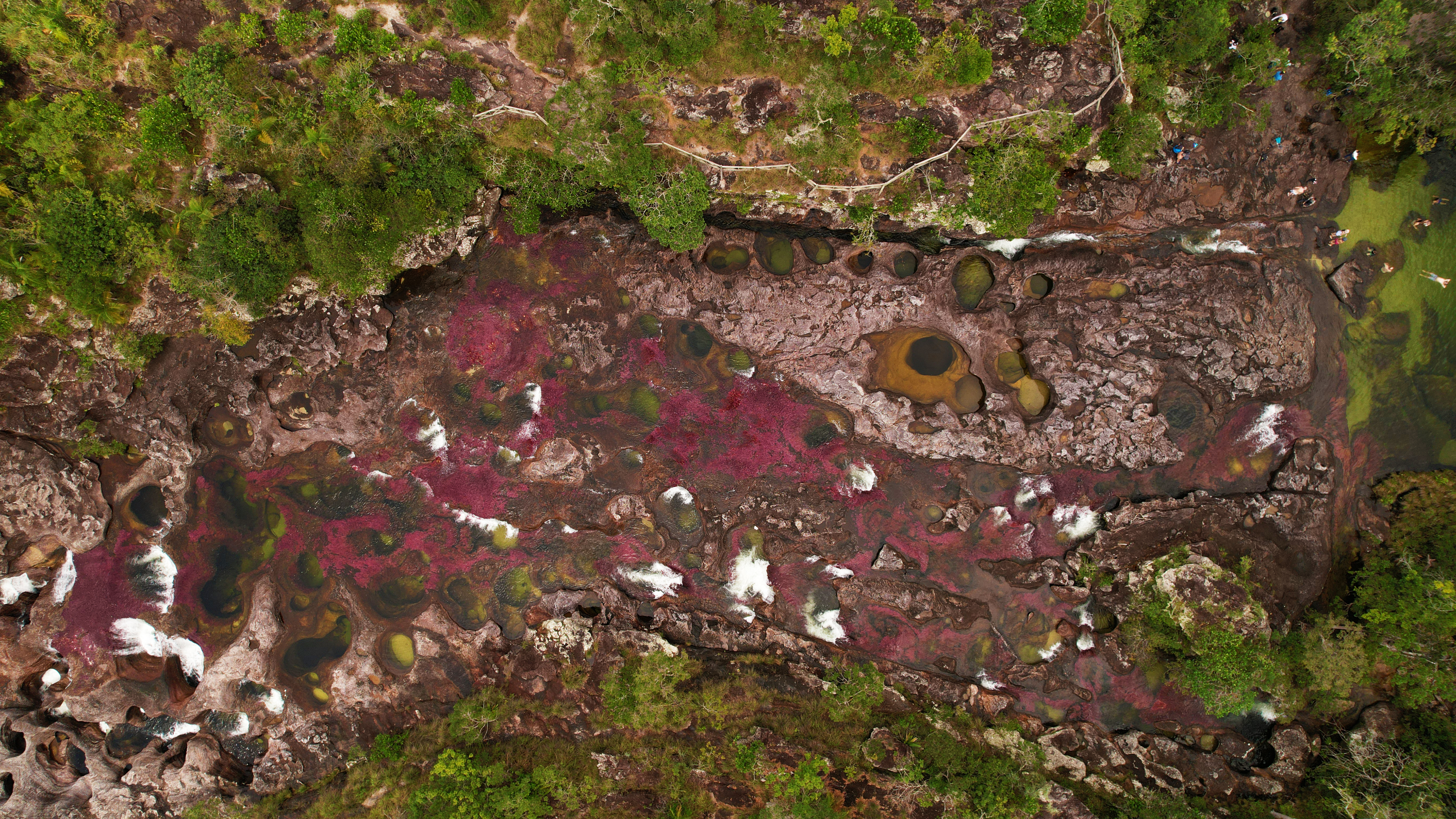 Caño Cristales, en La Macarena, vuelve a estar abierto al público