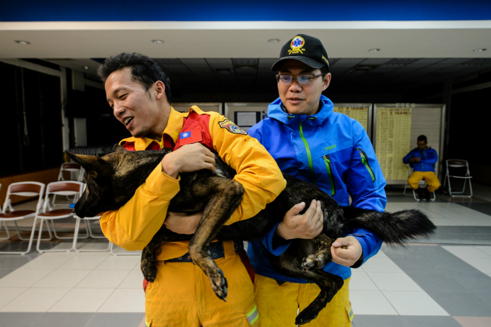 Patrulla canina: los héroes de cuatro patas tras el terremoto de Taiwán