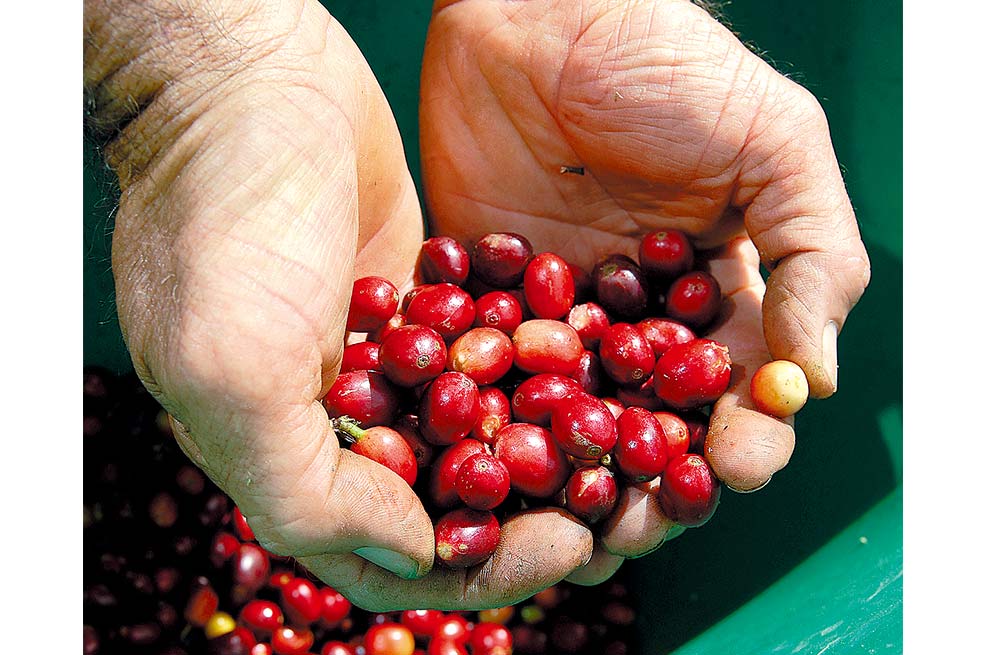 Una cosecha de $5,2 billones