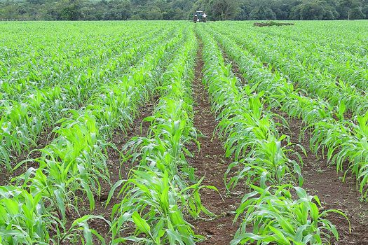 Así avanza la atención a las áreas del agro afectadas por el terremoto