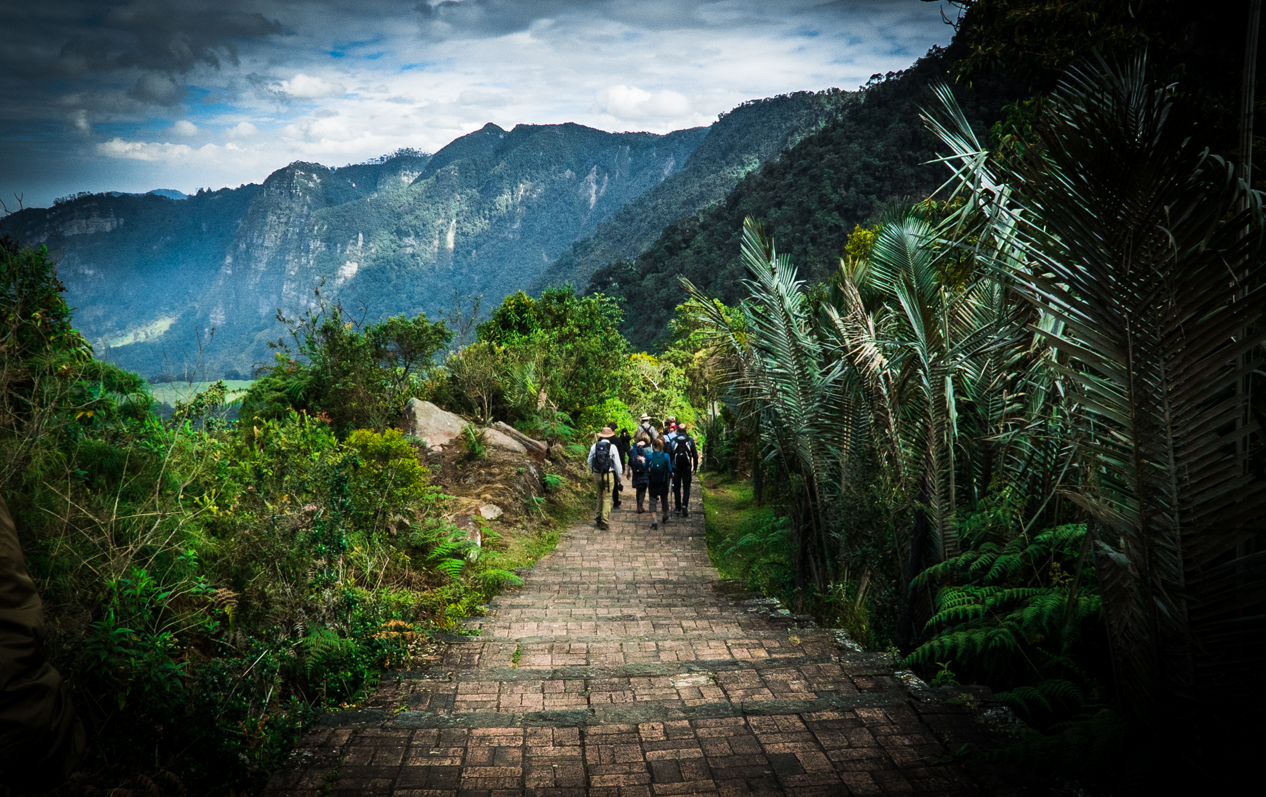 Colombia Nature Travel Mart 2025 en Cali: la feria clave de turismo de naturaleza