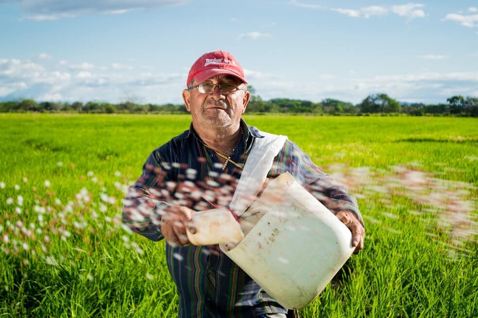 La estrategia del Minagricultura para atender las necesidades de los arroceros