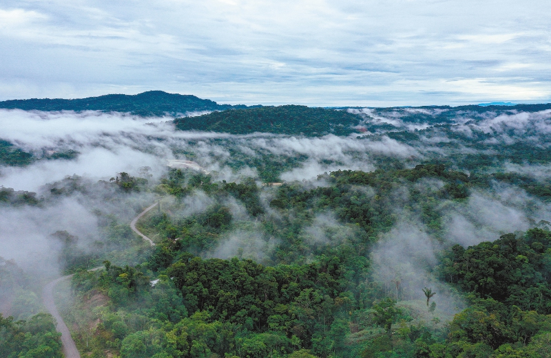 Así es como la deforestación en la Amazonia reduce las lluvias en los Andes