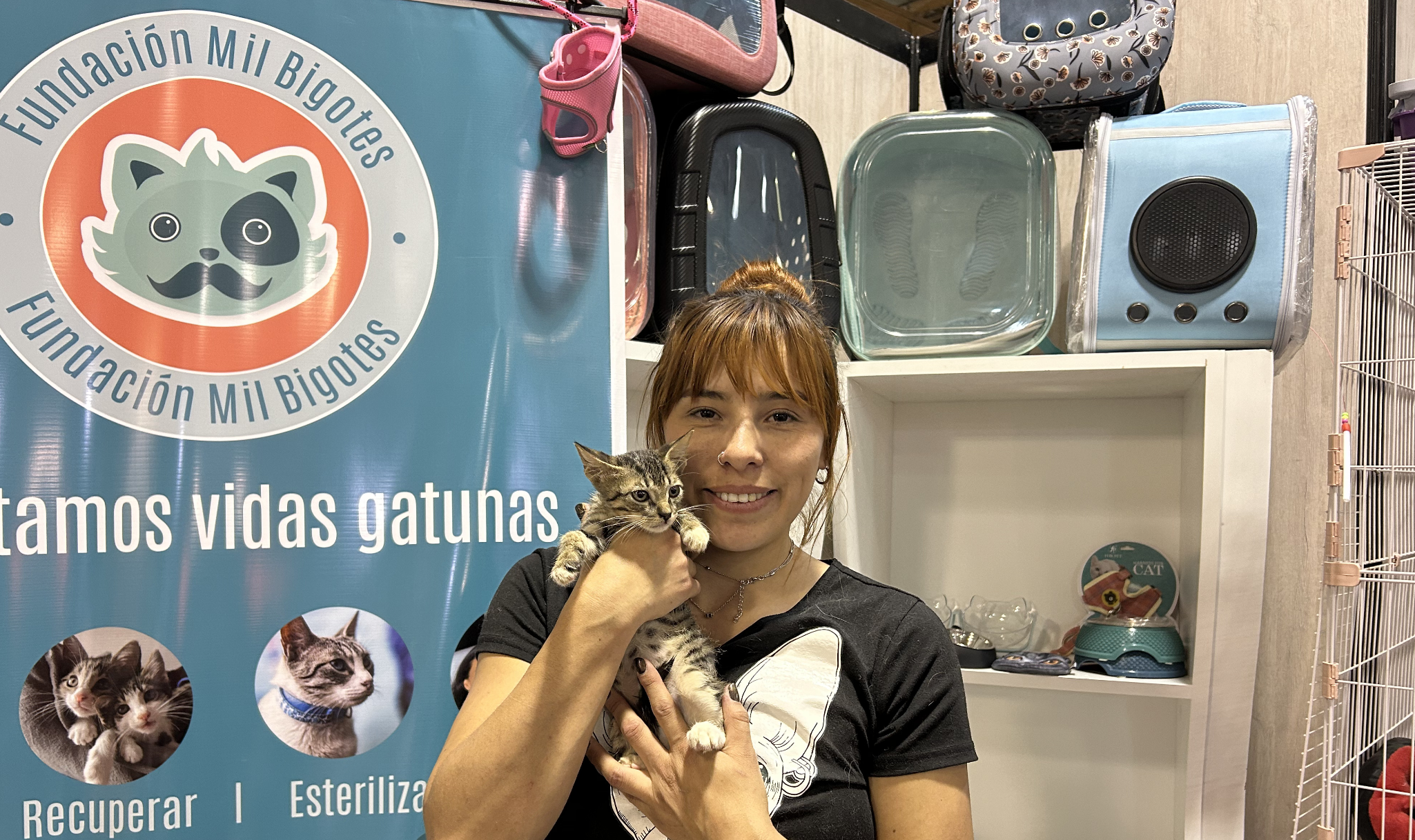 ⁠La Fundación Mil Bigotes necesita de usted: ayúdelos adoptando un gato o siendo voluntario