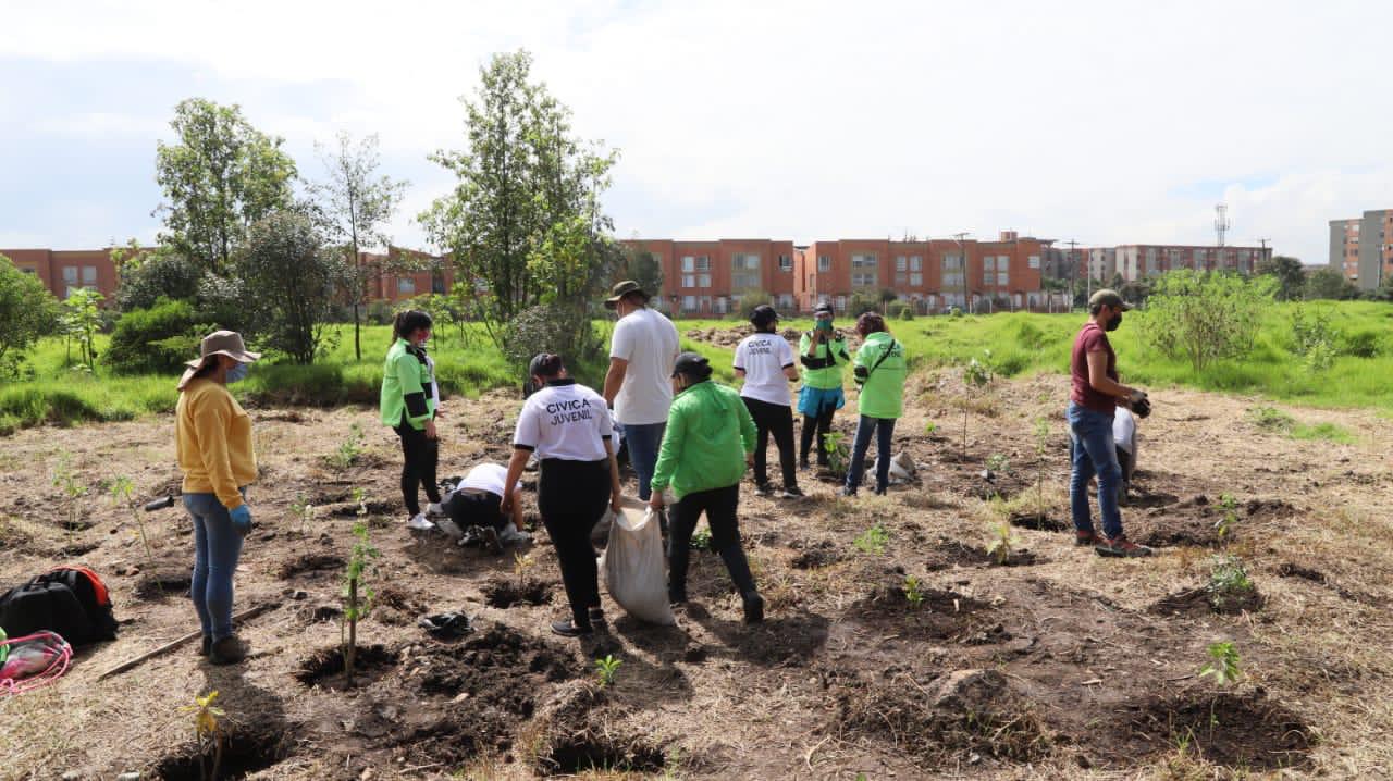 Este año se han plantado más de 41.000 árboles en la ciudad, más de 600 en humedales.