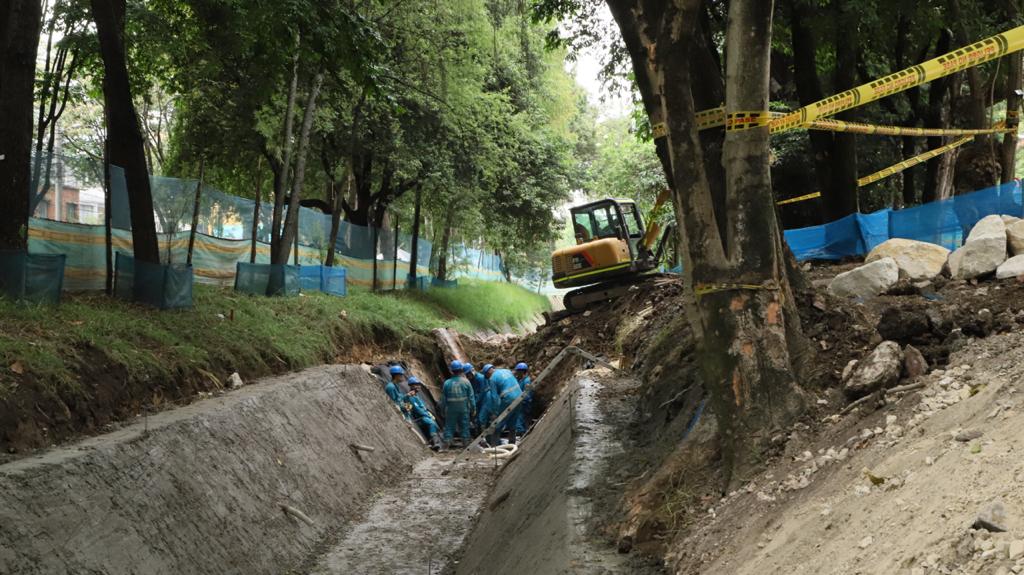 Solo se talarán 16 de los 84 árboles que se iban intervenir por obras en parque El Virrey