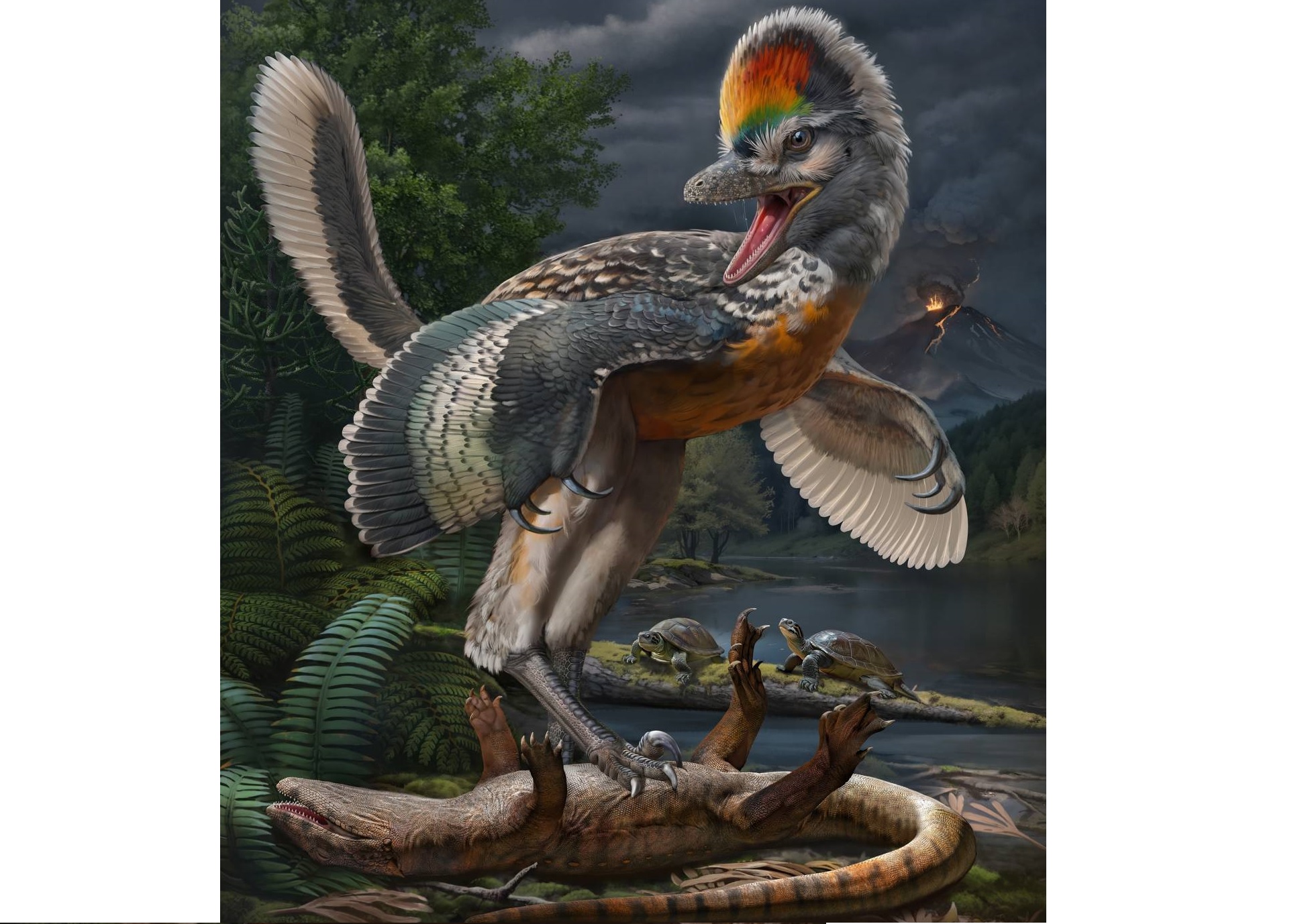 Reconstrucción del terópodo avial de 150 millones de años Fujianvenator prodigiosus.