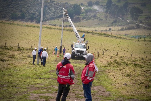 Postes instalados por tierreros fueron retirados de zona protegida de Ciudad Bolívar