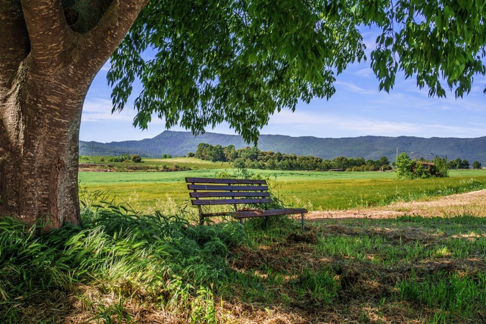 Una dosis de dos horas en la naturaleza mejora la salud