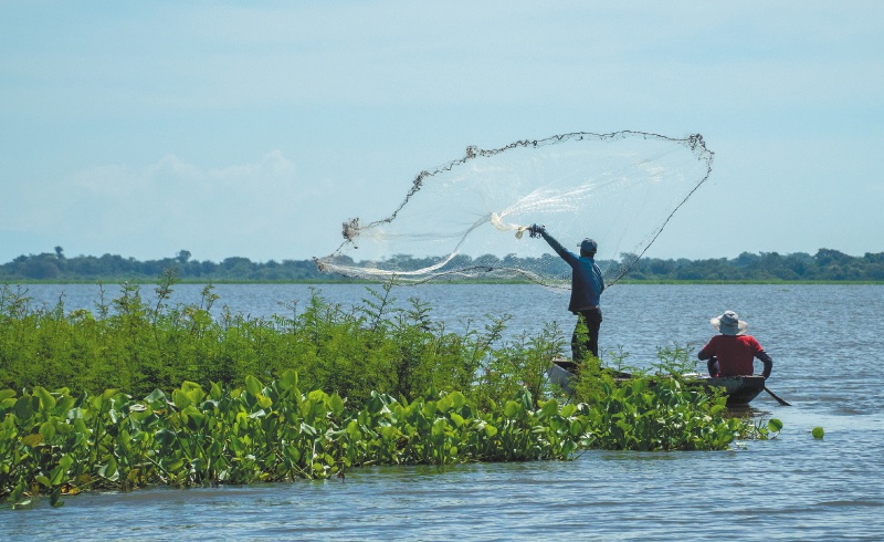 Un proyecto para recuperar la macrocuenca Magdalena-Cauca