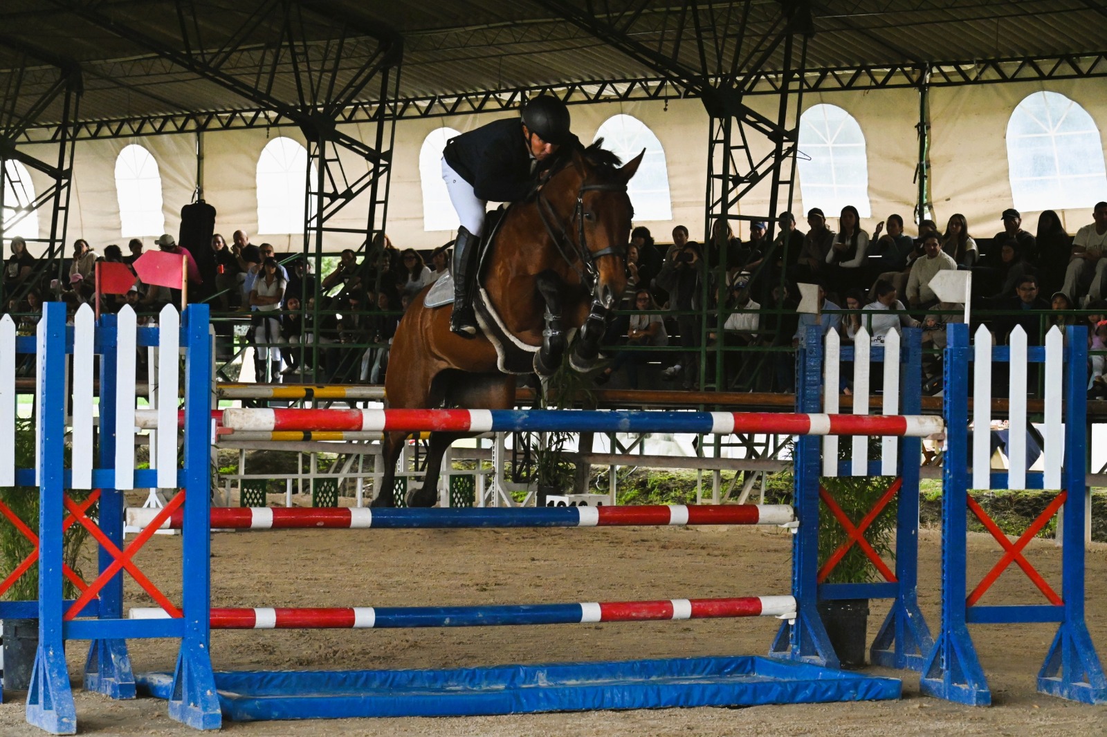 El evento contará con más de 30 pruebas por semana, alrededor de 600 inscripciones semanales y aproximadamente 160 binomios en competencia.