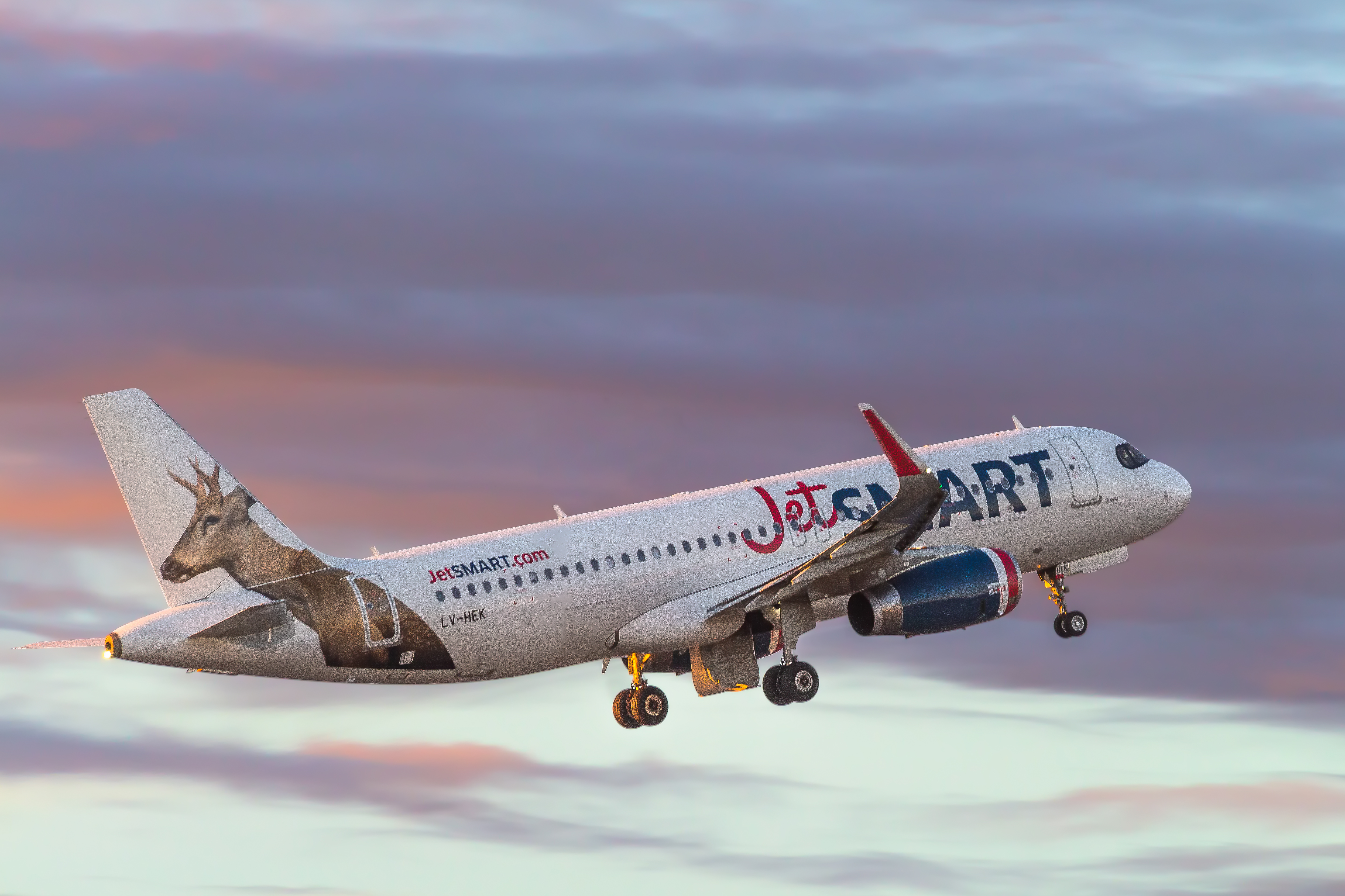 JetSmart da un primer paso para eventualmente comprar Ultra Air