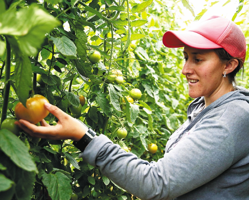 Mujeres rurales recibirán apoyos para fortalecer la productividad: ¿cómo acceder?