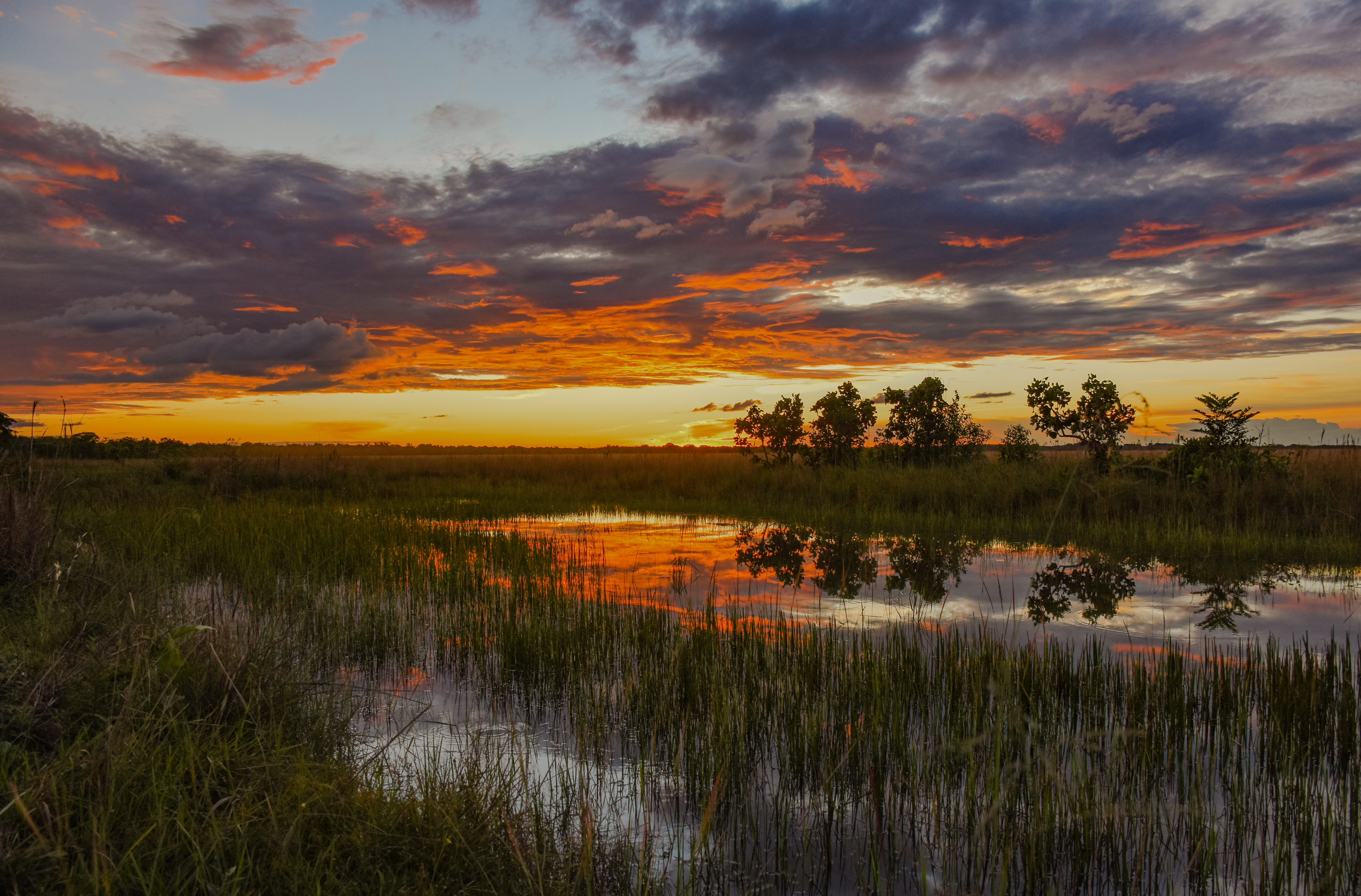 Las lecciones ambientales que dejó el oleoducto que atravesó los Llanos Orientales