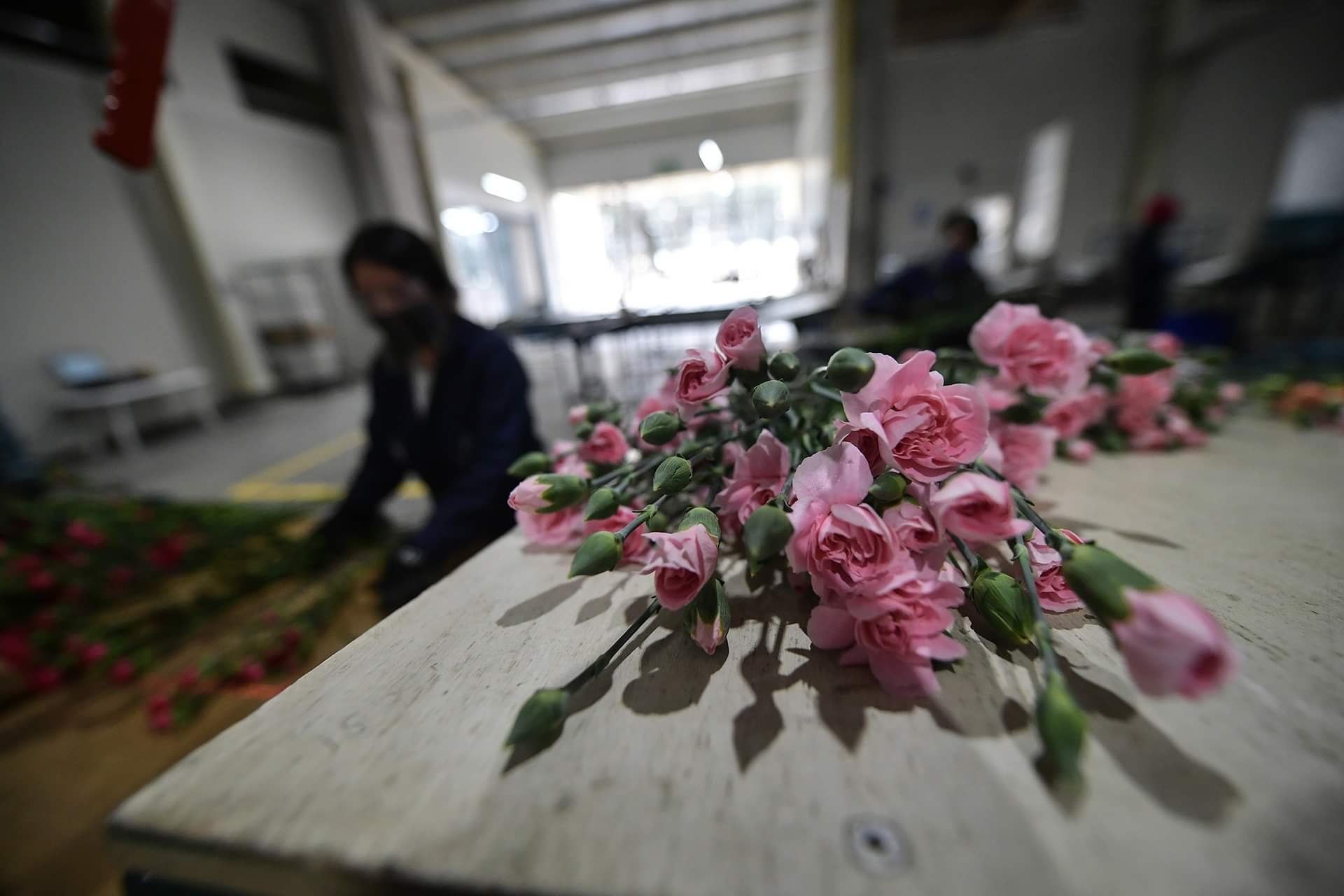 Trabajadora de flores.