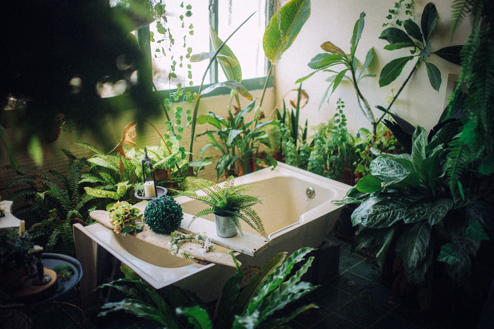 Imagen de un jardín interior hecho sobre una bañera.