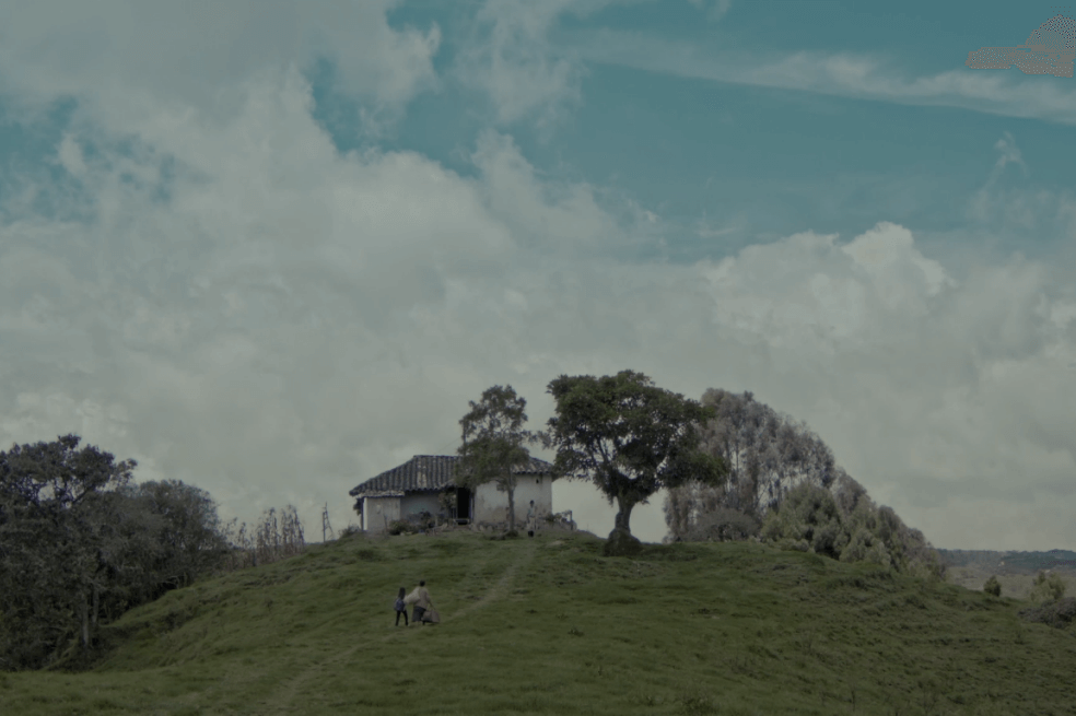Rugen las regiones en Retina Latina y Bogoshorts sessions