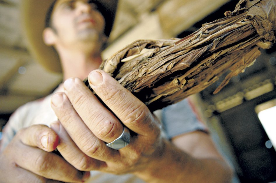 A la defensa del tabaco