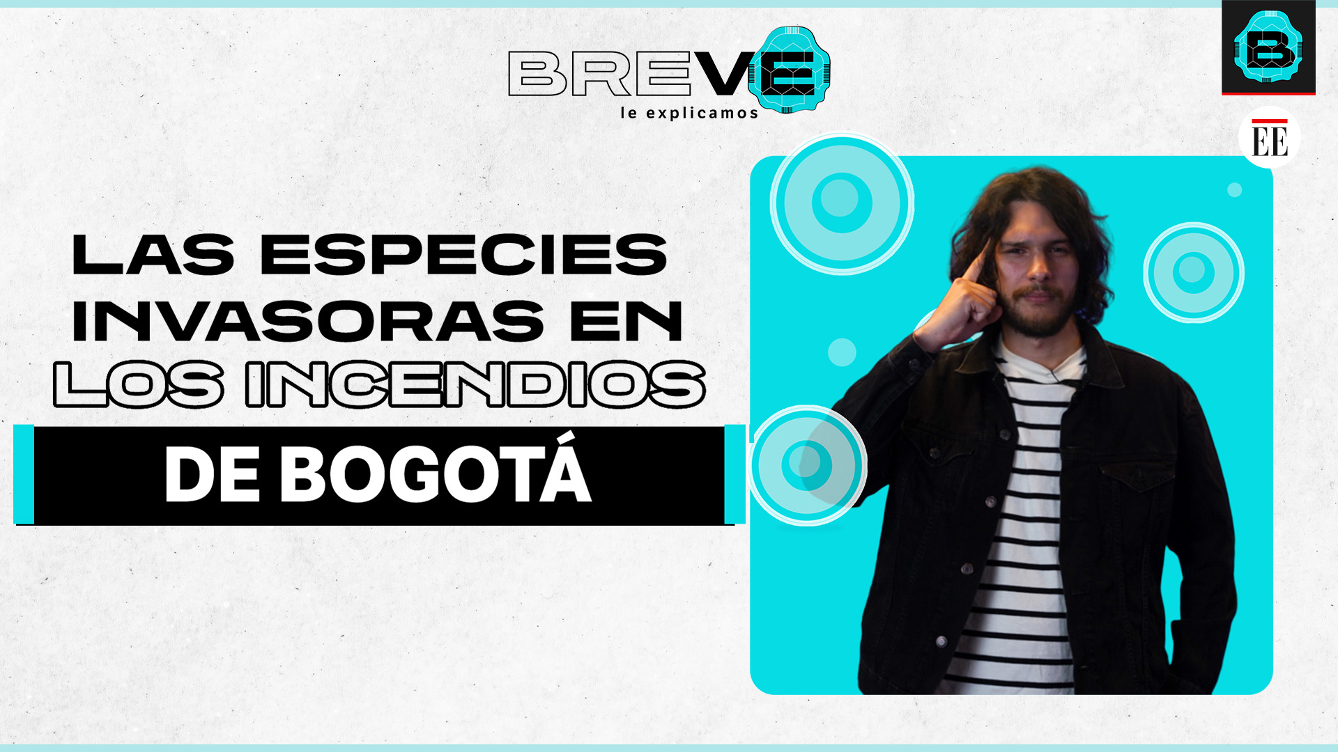 Las especies invasoras propagan el fuego en los cerros de Bogotá
