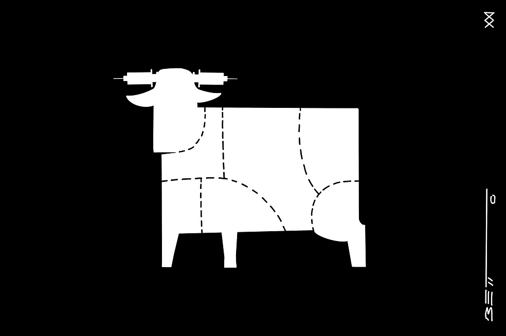 Vacunas