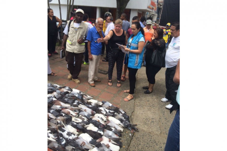 Personería de Cali / Personería de Cali