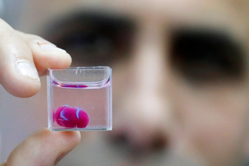 Científicos presentan un corazón realizado con impresora 3D a partir de tejidos humanos