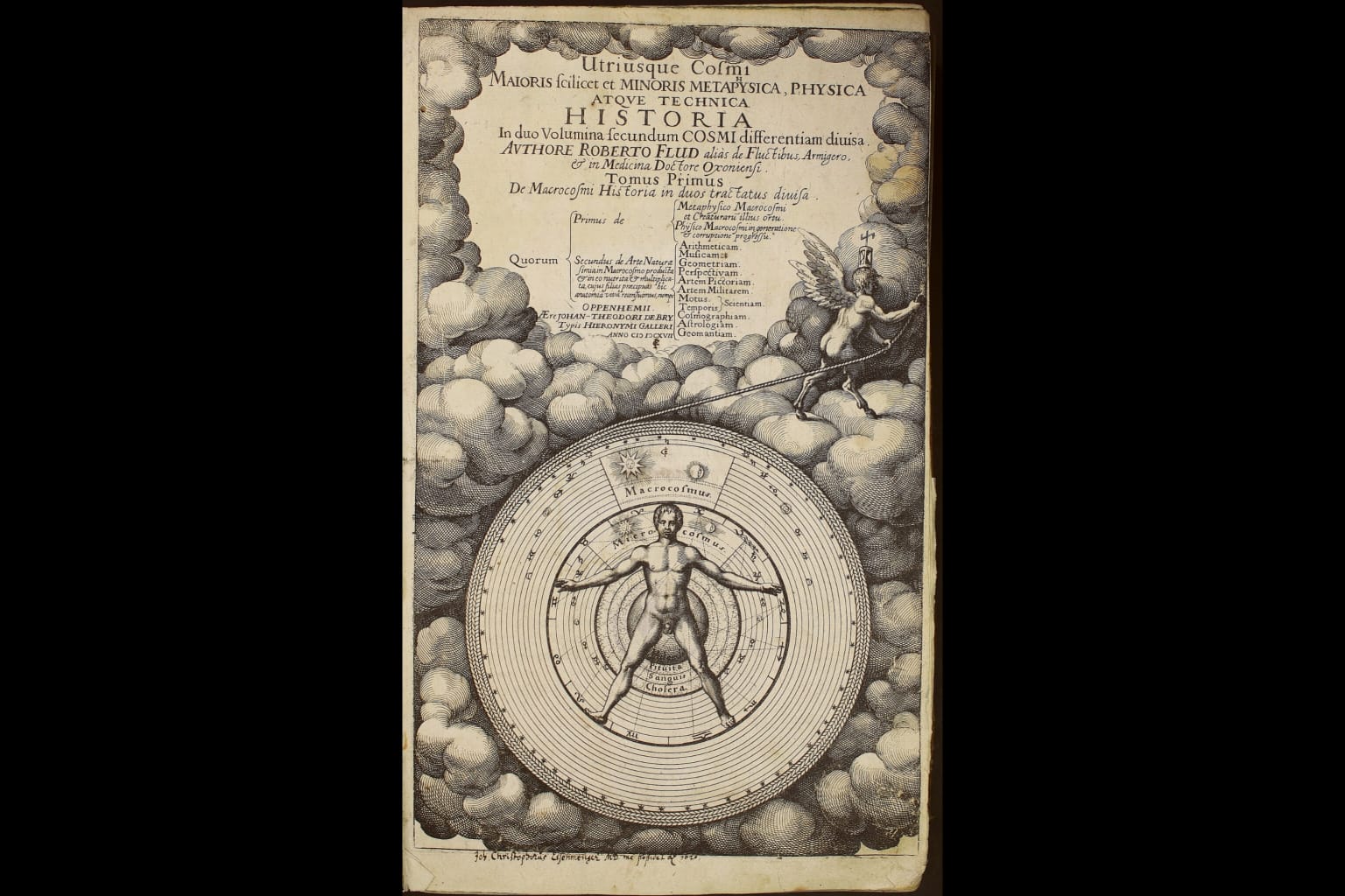 Macro y microcosmos: el cuerpo humano y la armonía del universo