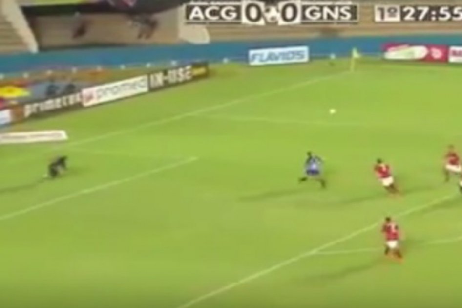 El gol que puede ser el mejor del año cambió la vida de un brasileño desconocido