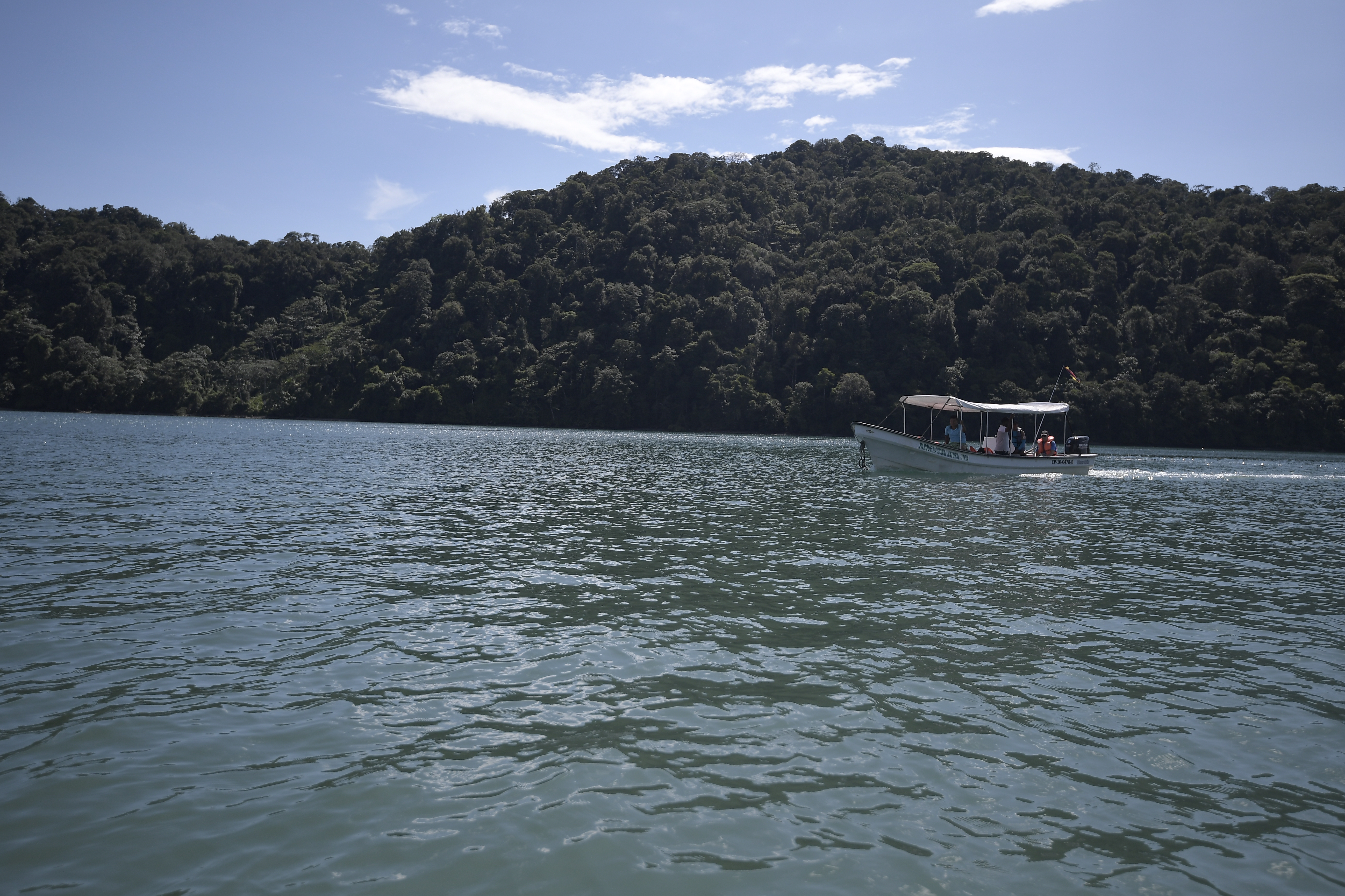 “Estaremos de manera indefinida”: comunidad que se tomó Parque Nacional Utría