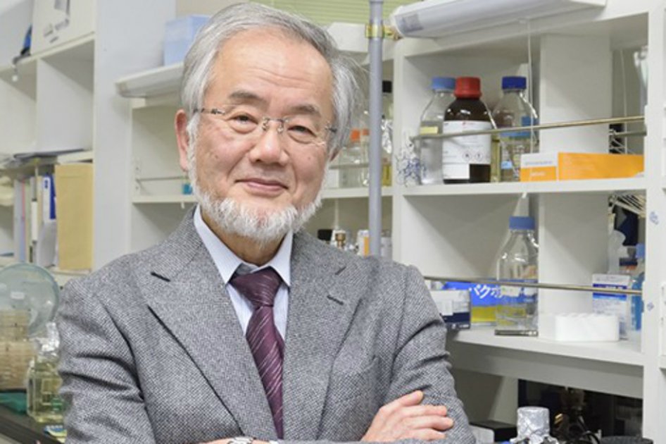 Premio Nobel por descubrir cómo reciclan las células