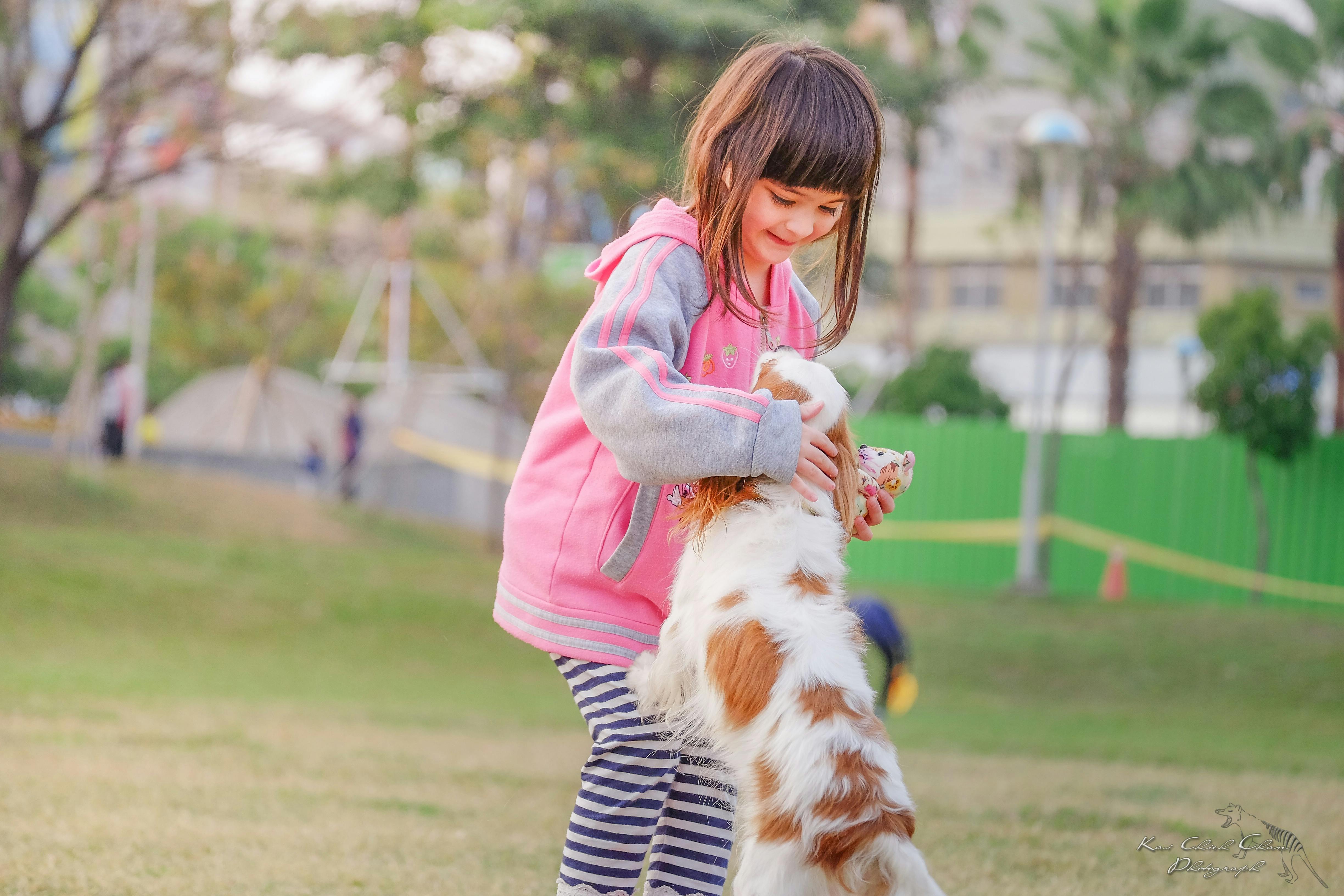 Niña dona las ganancias de su puesto de limonada al refugio local de animales