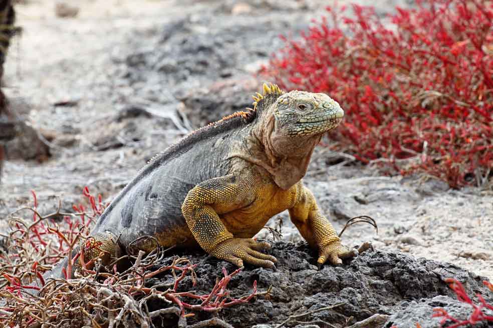 Ecuador, un destino bacano