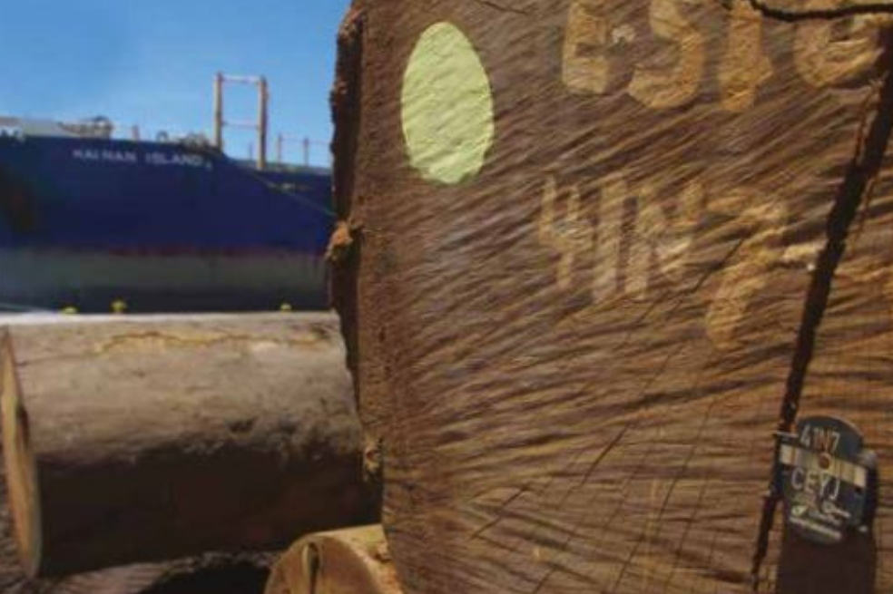 Un libro sagrado en línea, la última apuesta del sector forestal