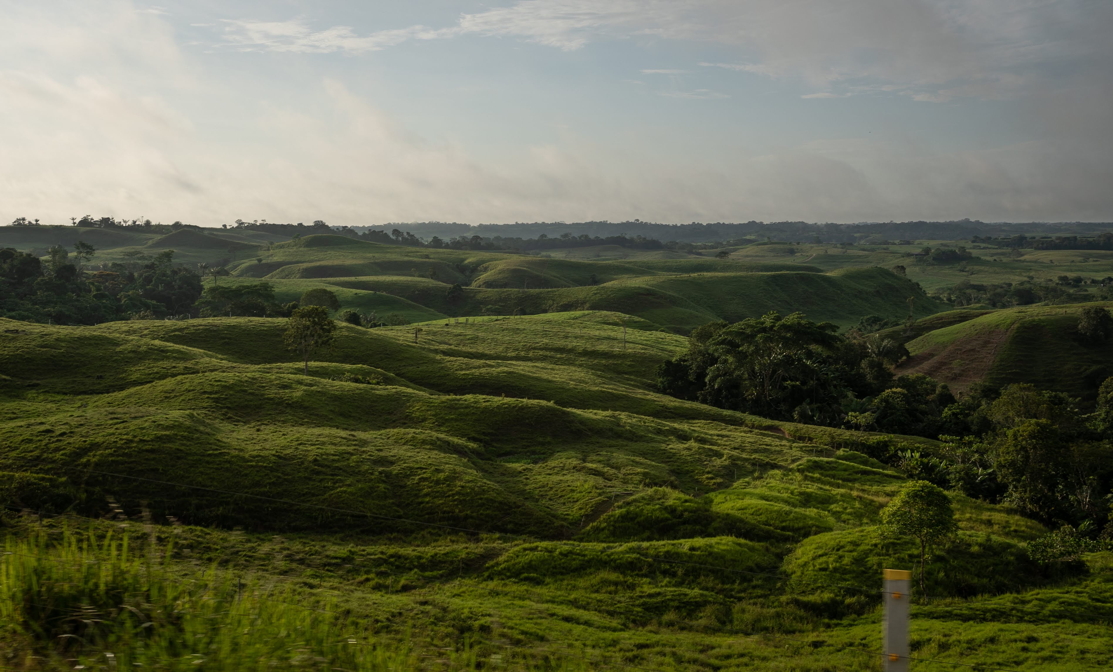 Las sabanas del Yarí se ubican entre el norte del Caquetá y el sur del Meta.