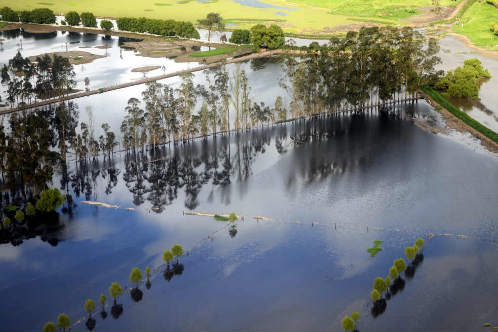 Alarma por cambio climático
