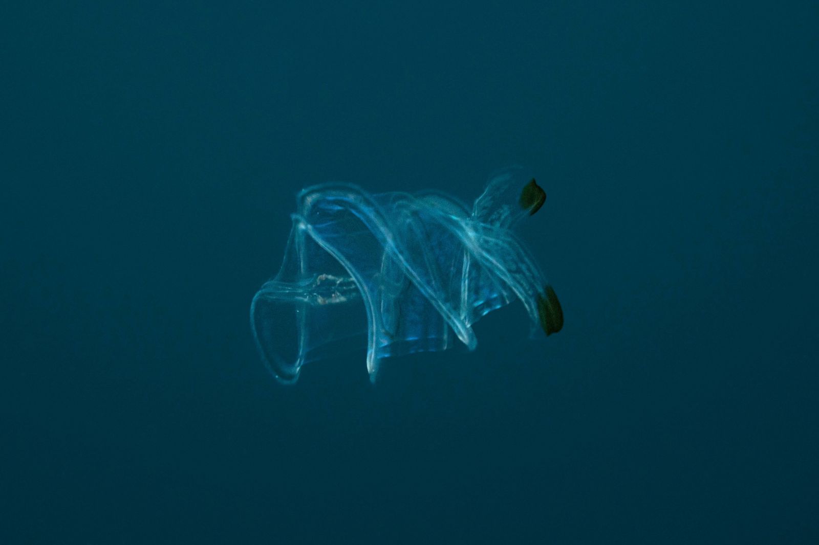 Expedición NatGeo en Colombia