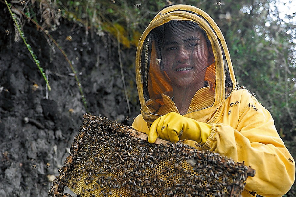 El humo ahuyenta a las abejas y es usado en apicultura para que puedan ser manipuladas.