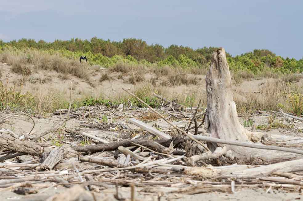 Cambio climático acelerará la pobreza