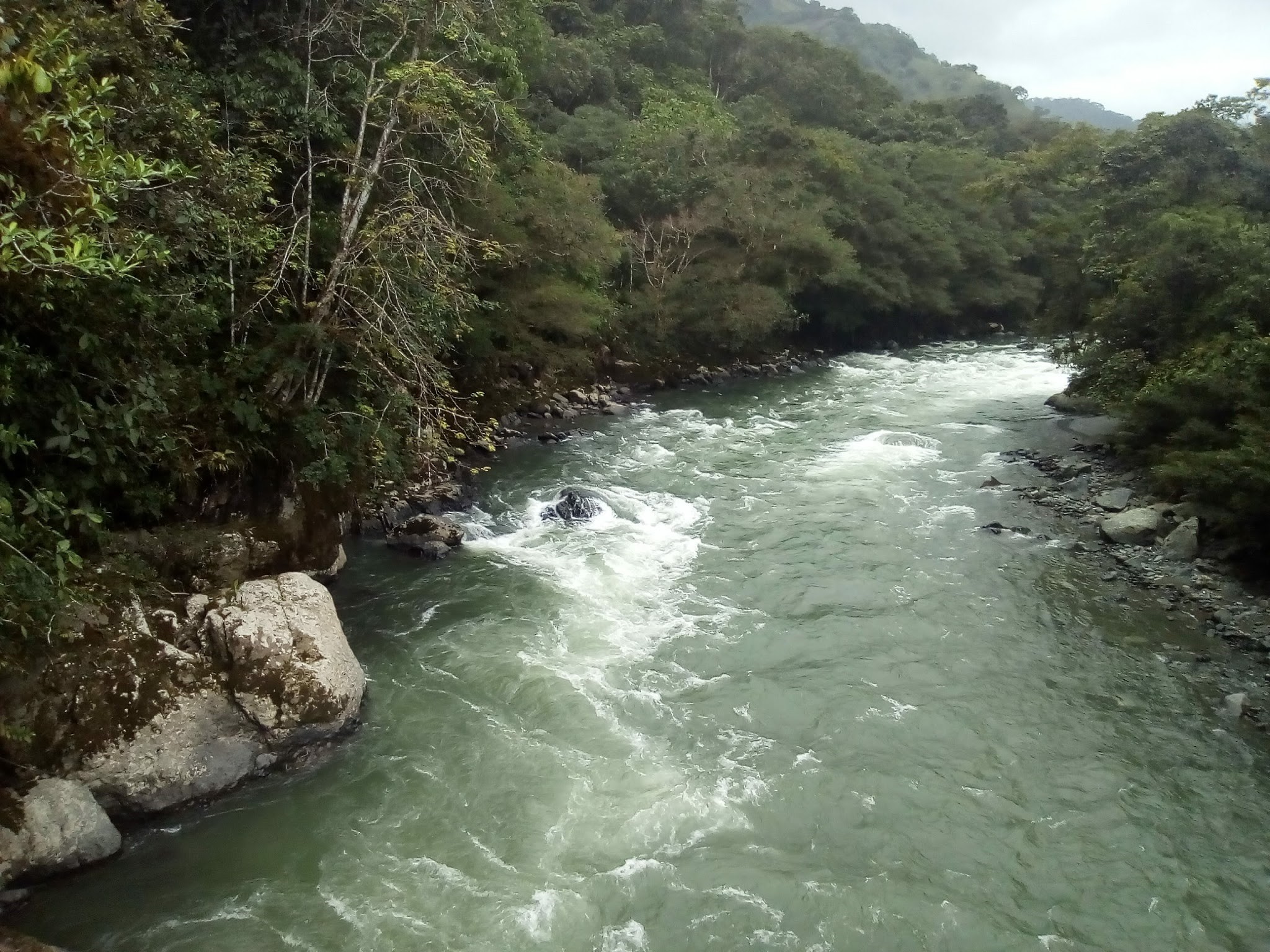 Los alfabetos del agua de la cultura Awá en Nariño