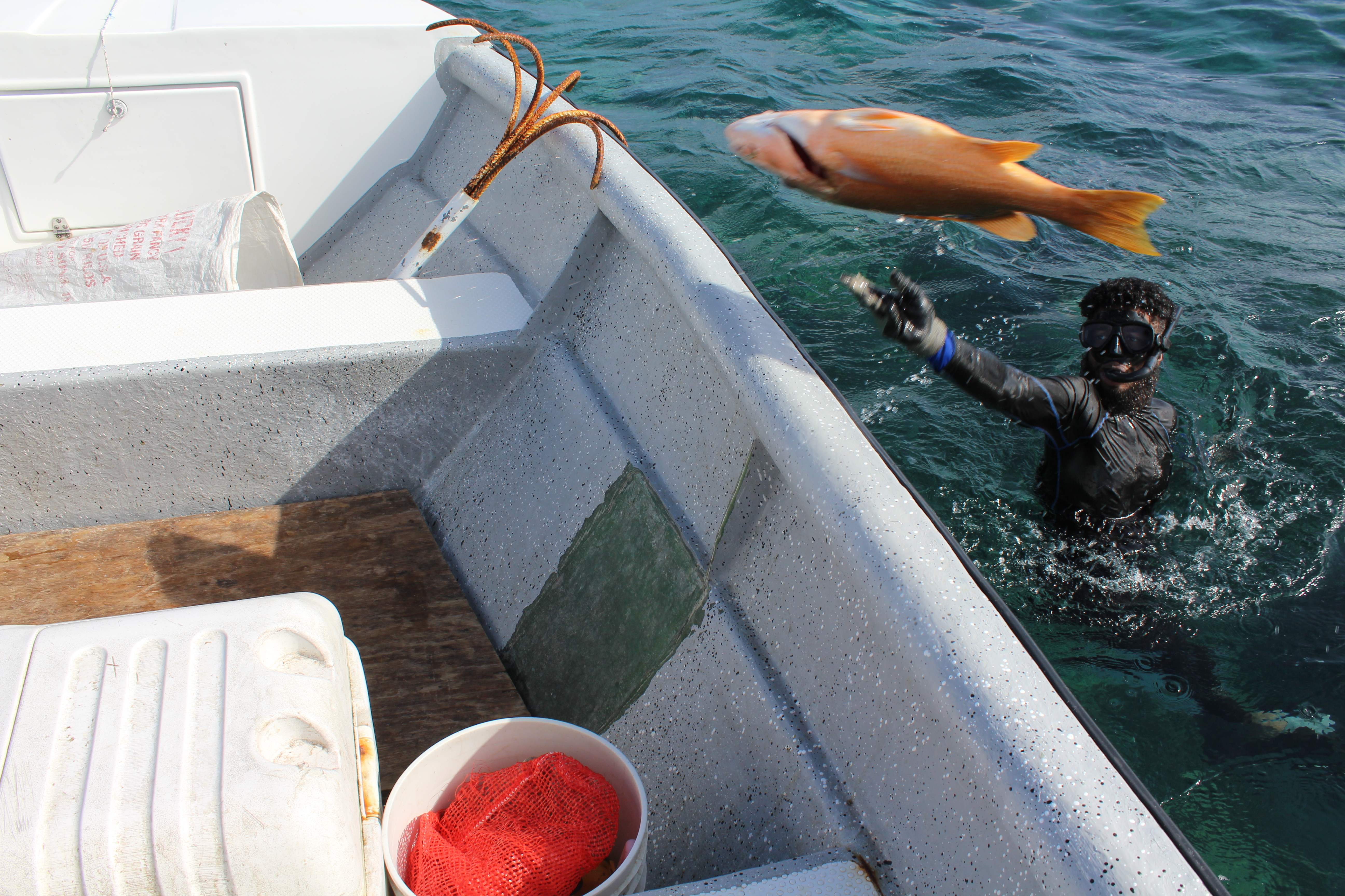 Rolando Taylor (34), lanza parte de la pesca que ha obtenido a la lancha que conduce su padre.