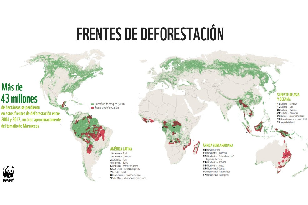 WWF analizó 24 de los puntos más críticos de deforestación en el mundo. De ellos, nueve están ubicados en América Latina.