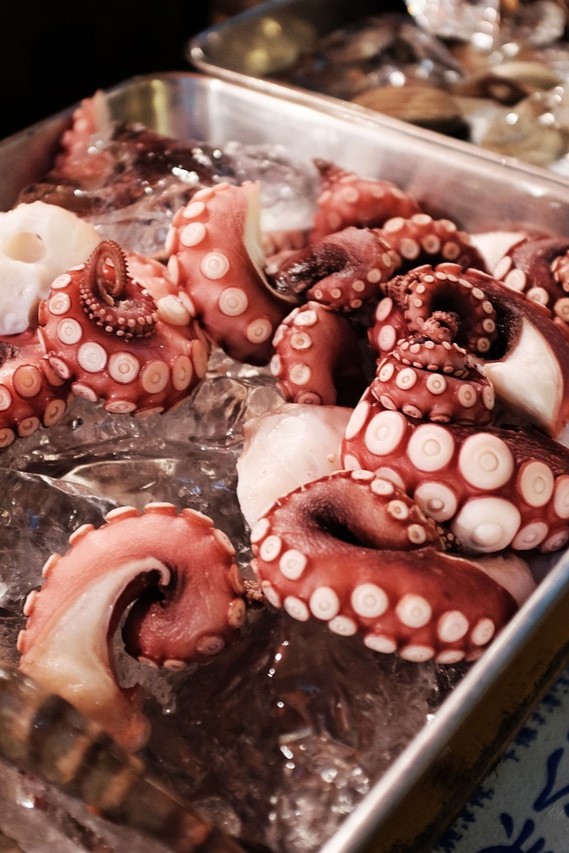 Pulpo