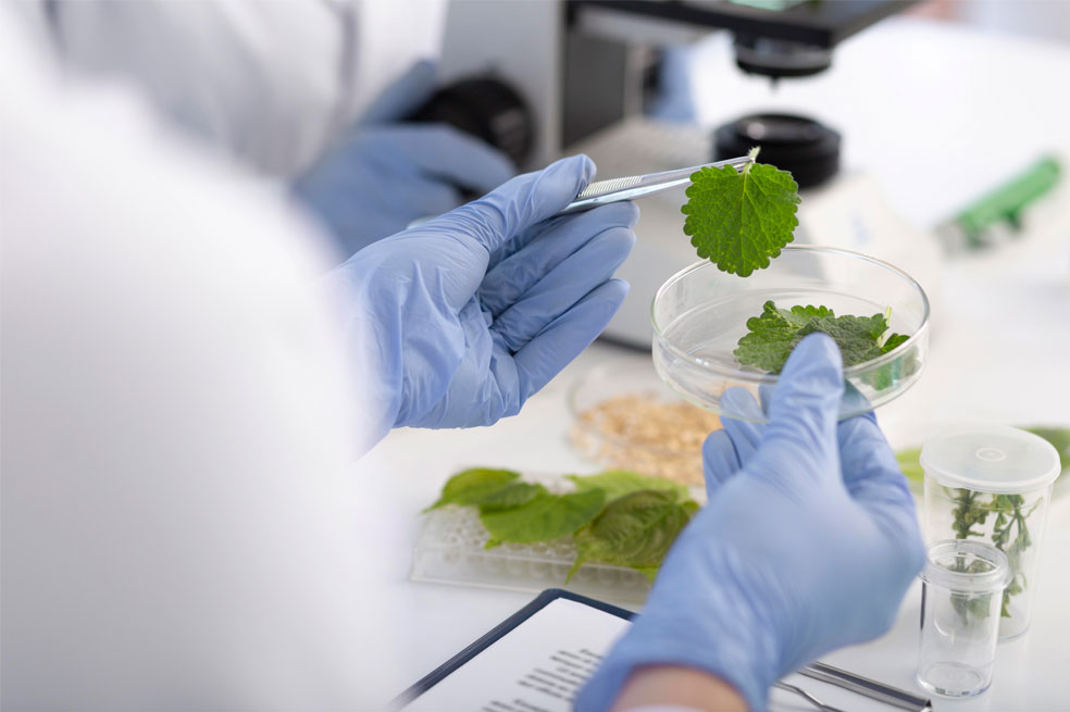 Pharvet: 30 años de compromiso con la salud animal y la innovación sostenible